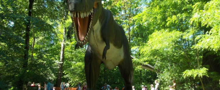 Powiększ obraz: Park Dinozaurów
